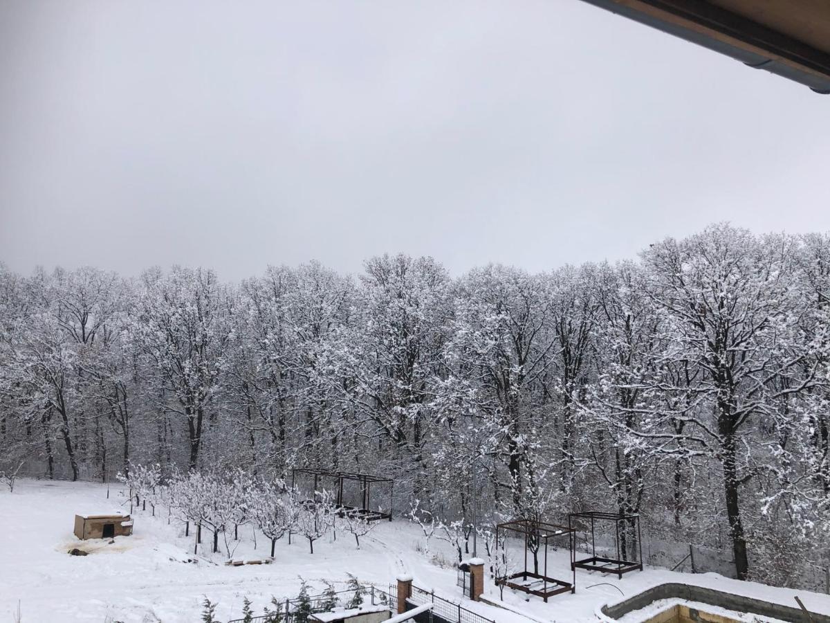 Marada Felix Hotel Hidişelul-de Sus Екстериор снимка